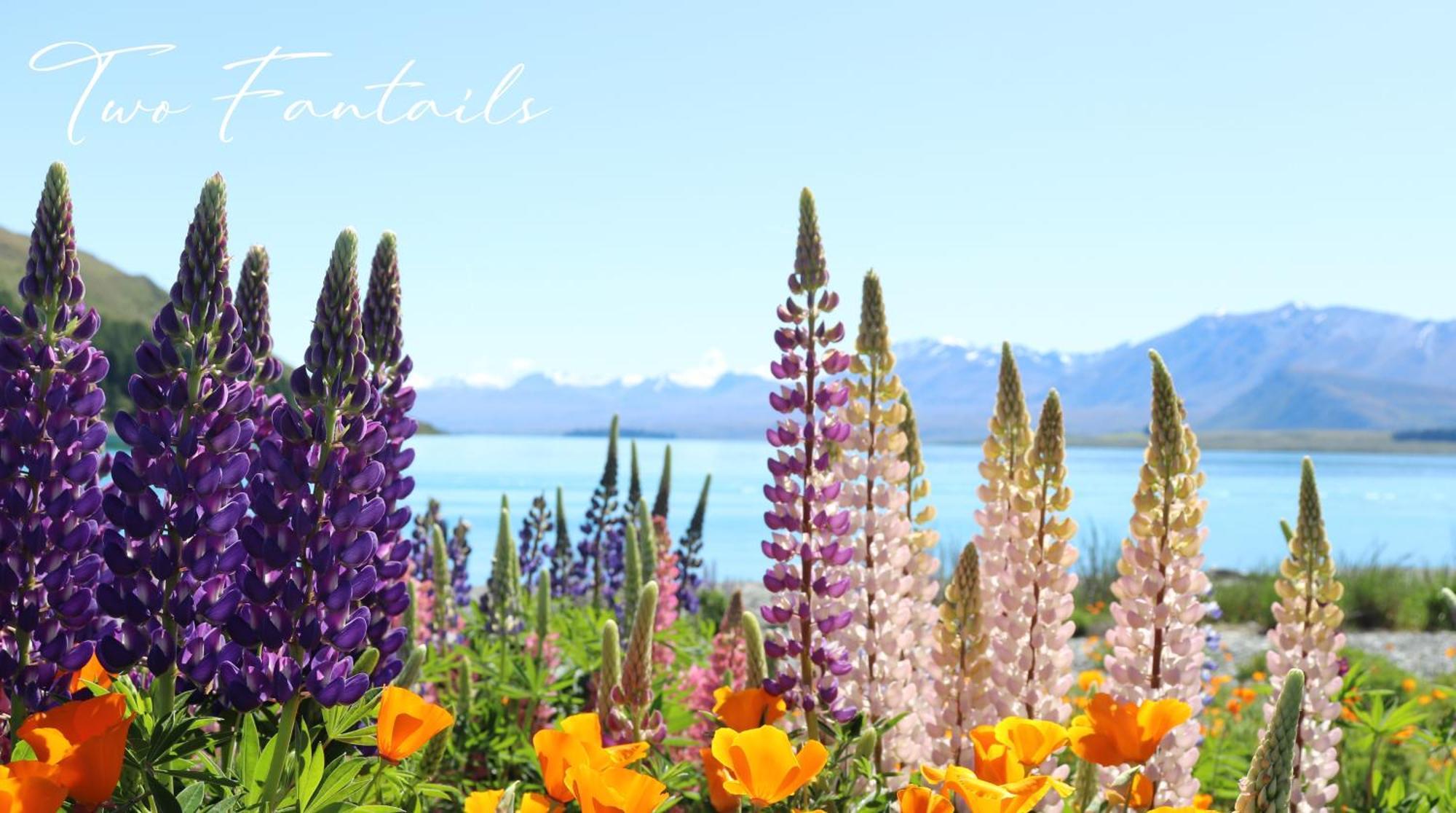 Two Fantails - Mountain Views Βίλα Lake Tekapo Εξωτερικό φωτογραφία